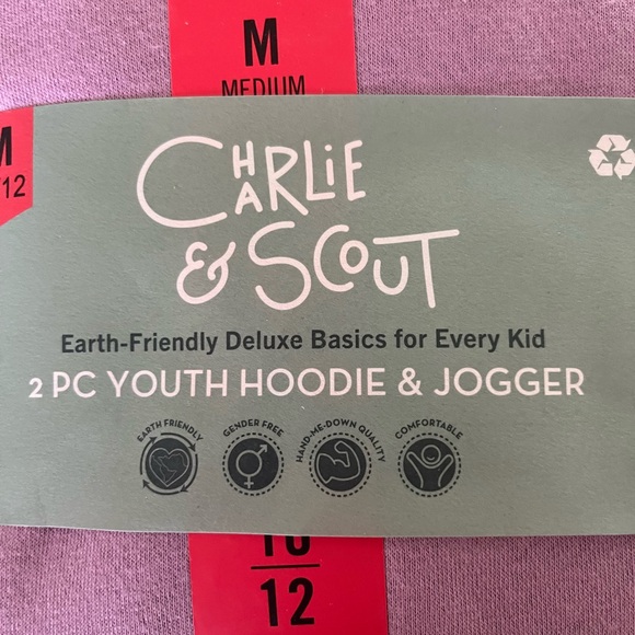 Charlie & Scout Youth Hoodie & Jogger Set 10/12 Purple - Picture 3 of 6
